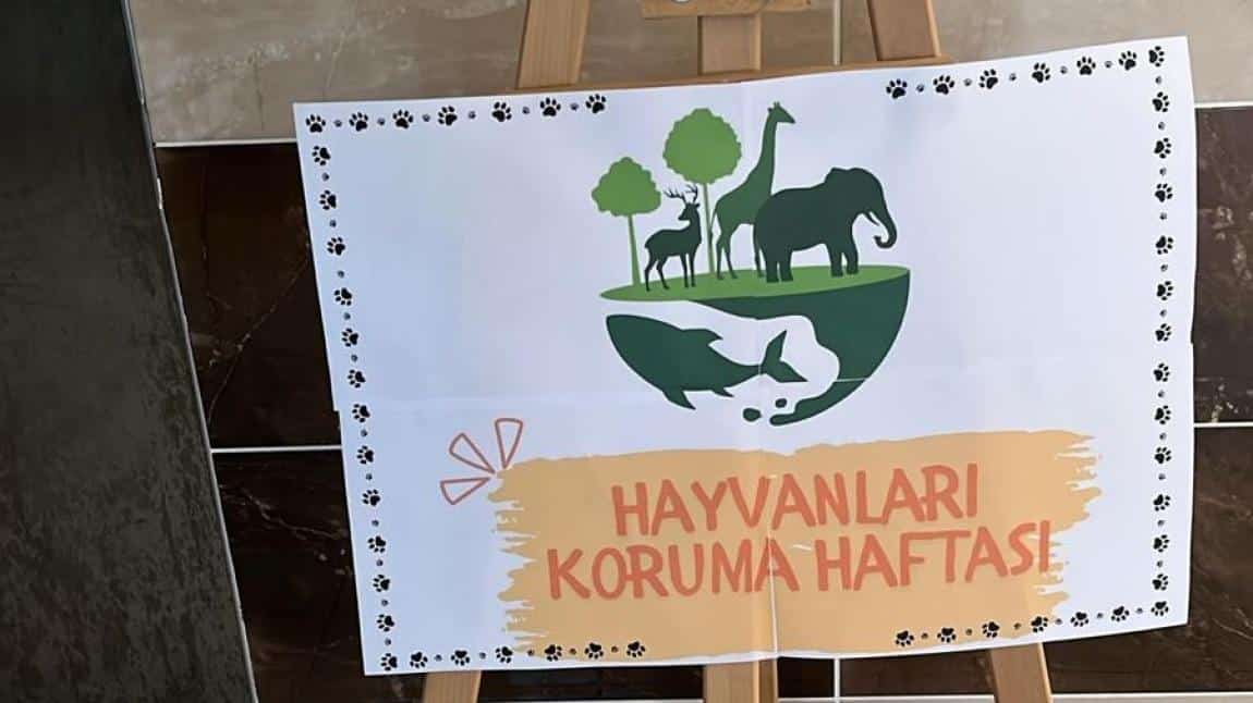 HAYVANLARI KORUMA HAFTASI